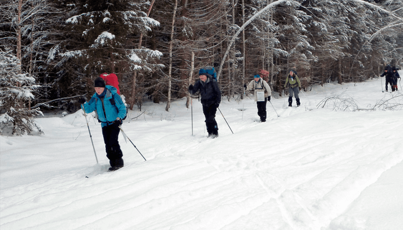 Зимой, участники туршкол клуба Перово ходят в лес на лыжах